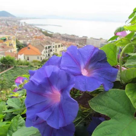 Vakantiehuis Al Nove E Trequarti *